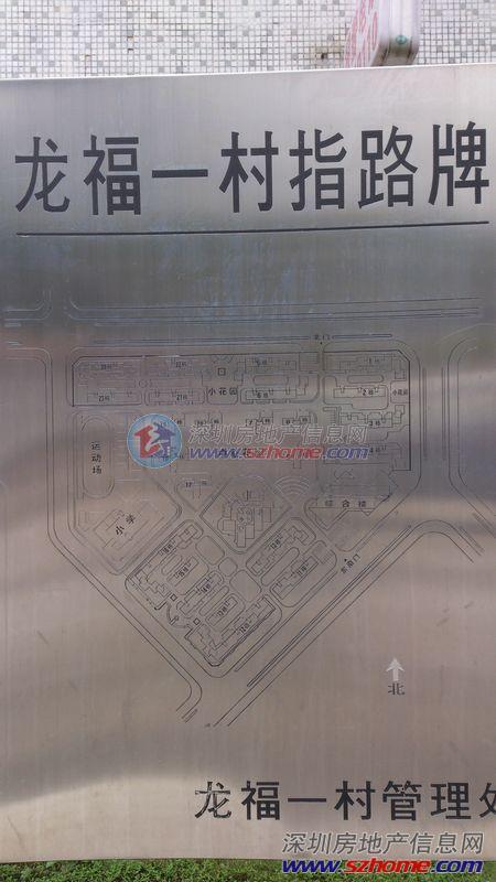 龙溪玛尼厂的待遇(尼玛龙村)