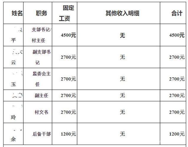 唐山市村官待遇(河北省唐山市村干部工资标准)