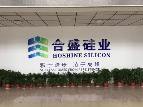 浙江合盛硅待遇(合盛硅业嘉兴怎么样)