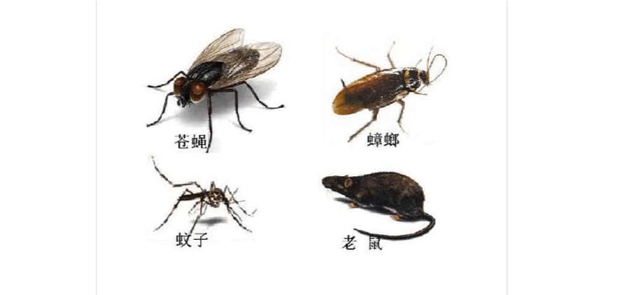 上海三宇科技有限公司待遇怎么样(上海三宇虫害防治有限公司)