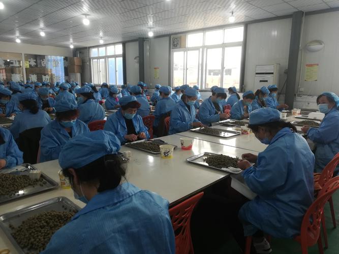 南阳电光待遇怎么样(南阳市光电科技有限公司)