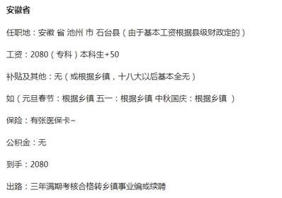 重庆村官工资待遇(重庆村官待遇怎么样)