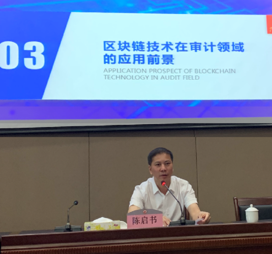 投资审计局待遇怎么样(政府投资审计中心待遇如何)
