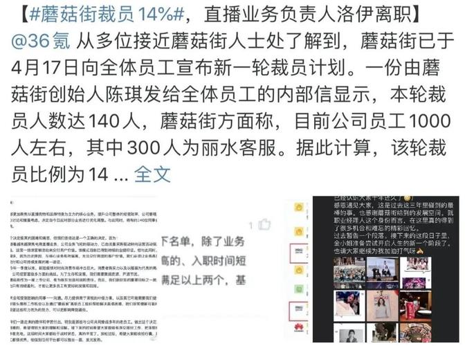 蘑菇街待遇(蘑菇街工作怎么样知乎)