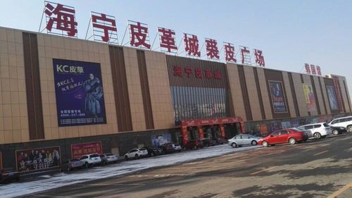 海宁皮革研究院待遇怎么样(海宁皮革与时尚产业发展中心)