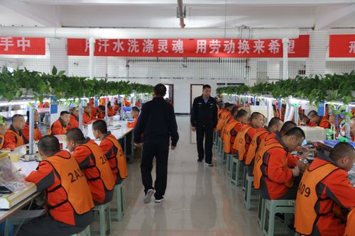 上海戒毒所待遇怎样(上海戒毒所真实生活)
