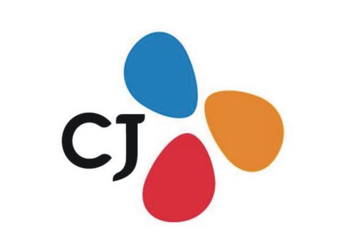 韩国希杰工资待遇(韩国希杰集团是世界五百强吗)