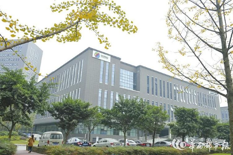 维布络成都待遇(维布络 成都)