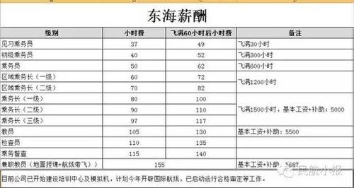 国际航班乘务员待遇(国际航班乘务长工资多少钱一个月)