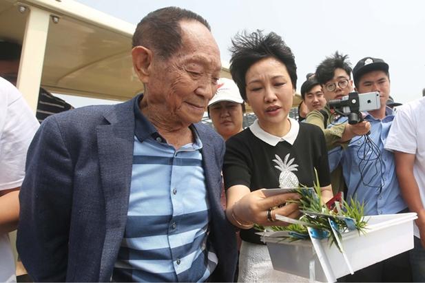 袁隆平的待遇(袁隆平享受什么干部待遇)