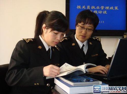 深圳报关员待遇(深圳报关员待遇如何)