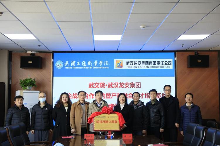 武汉龙安公司待遇(武汉龙安集团有限公司招聘)