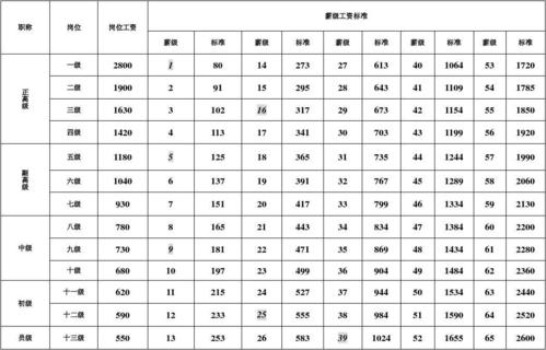 教师中级职称工资待遇(教师中级工资标准)