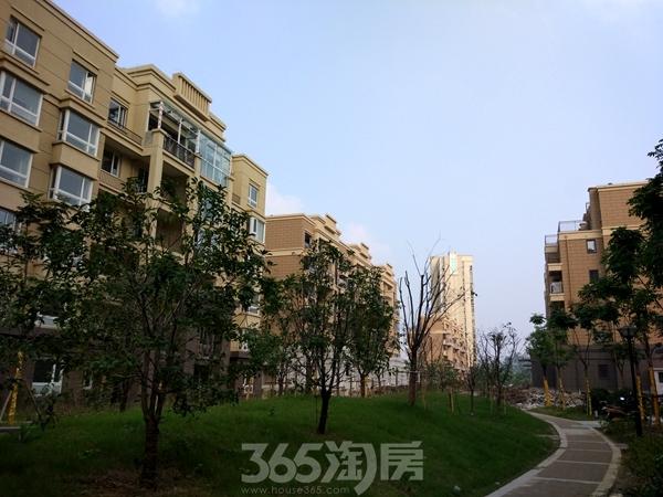 江苏金洋房地产待遇(金洋地产房屋质量)