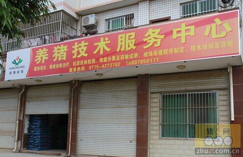 广西扬翔饲料有限公司待遇(南宁扬翔饲料有限公司)
