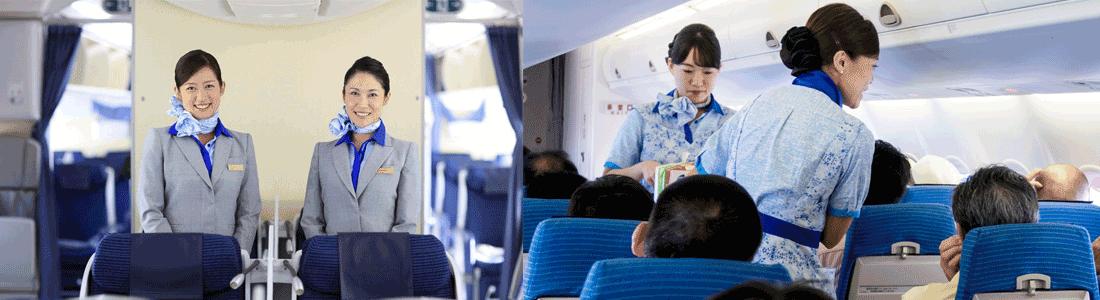 全日空空姐待遇(全日空航空中国籍空姐工资)