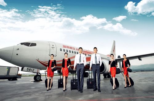瑞丽航空飞行员待遇(瑞丽航空飞行学员积压)