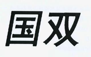 国双待遇如何(国双怎么样)