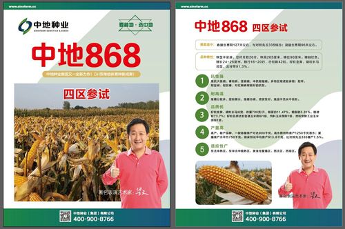 中地种业待遇怎么样(中地种业集团公司是国企吗)