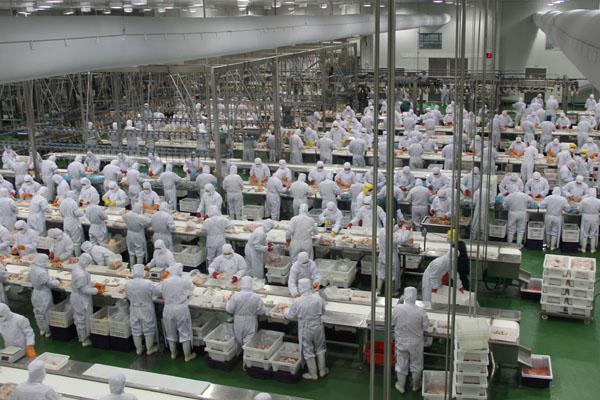 嘉吉饲料待遇怎么样(嘉吉饲料全国有哪些厂)
