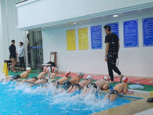 游泳教练工资待遇怎样(游泳教练工资多少钱)