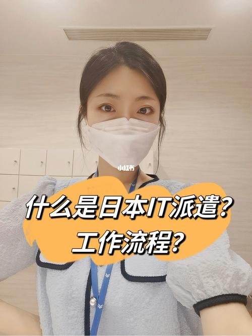 日本it派遣待遇(日本it派遣要求)