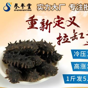 烟台参参堂待遇怎么样(参参堂食品有限公司)