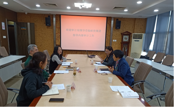 市投资审计中心待遇(市投资审计中心待遇咋样)