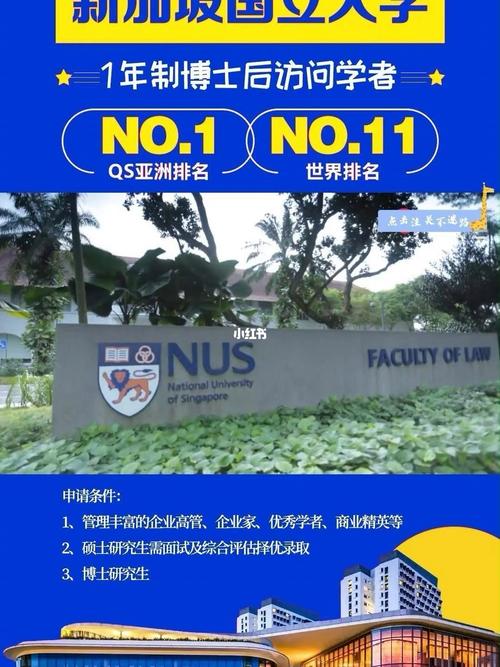 新加坡博士后待遇(新加坡博士后回国待遇)