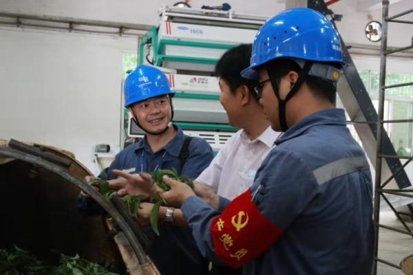 广东电网能源有限公司待遇怎么样(广东电网能源发展公司待遇)