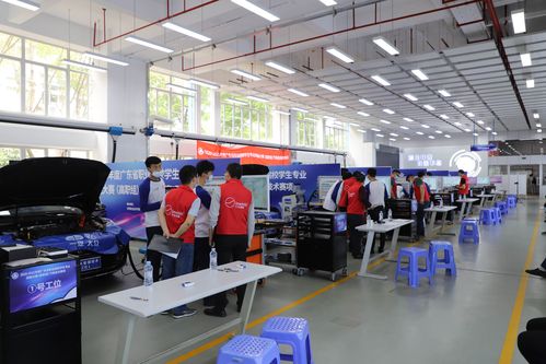 赛美教育科技有限公司待遇(赛美国际时尚美学教育怎么样)