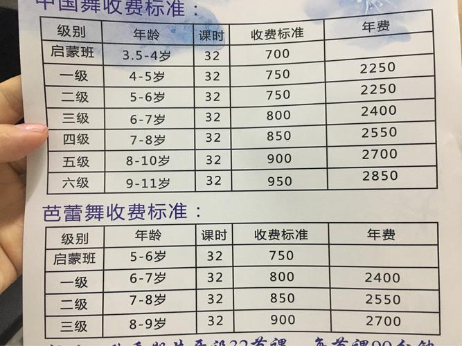 舞蹈培训待遇(舞蹈培训待遇如何)