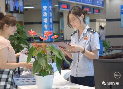 湖州税务局待遇怎么样(湖州税务局公务员工资)