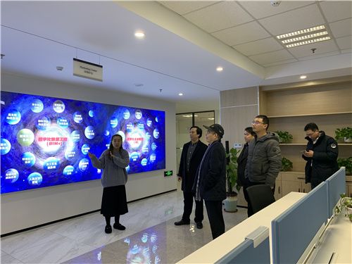 巨鲨显示科技公司待遇(巨鲨数字技术有限公司)