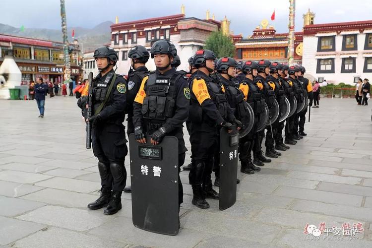 拉萨民航警察待遇(拉萨警察工资一般多少)