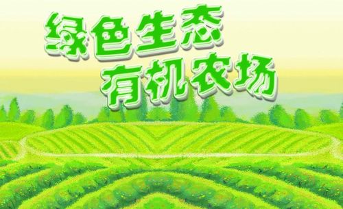 圣然精品的待遇(圣然人力资源怎么样)