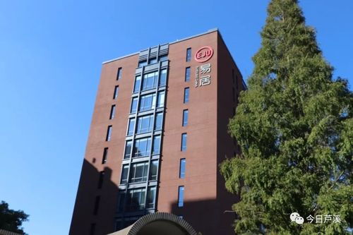 易居上海待遇怎么样(上海易居总部公司怎么样)
