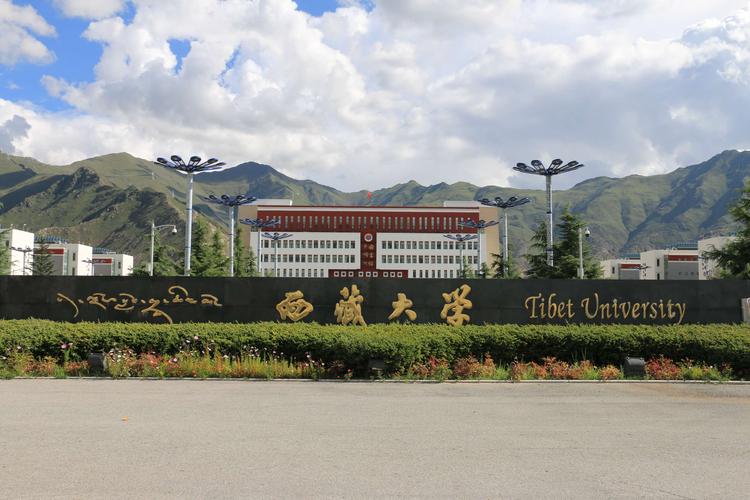西藏大学待遇(西藏大学工作怎么样)