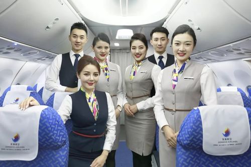 公务机空姐待遇(公务机空姐月收入)