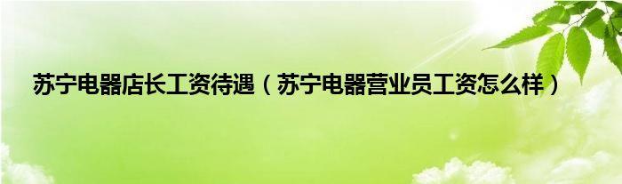 苏宁店长的待遇(苏宁店长是什么级别)