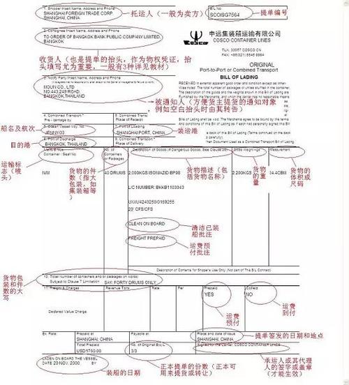 海运单证员待遇(海运单证员是做什么)