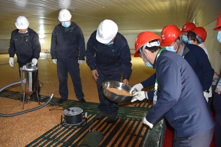 中储粮油脂营销有限公司待遇(中储粮油脂营销有限公司待遇如何)