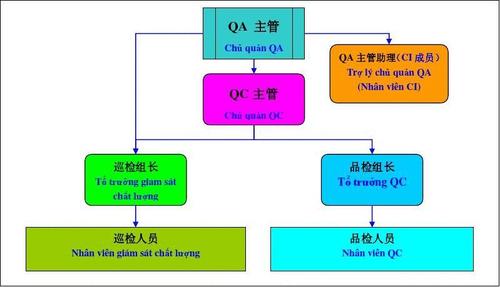 qa和qc待遇(qa和qc职位)