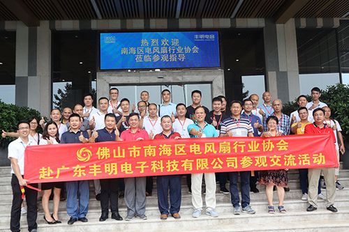 丰明电子科技待遇(丰明电子科技待遇咋样)