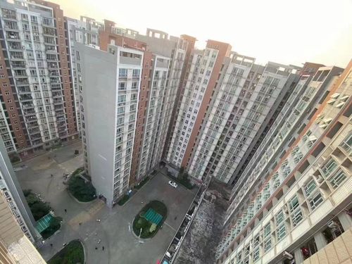 沙井恒基工资待遇(沙井恒基工资待遇如何)