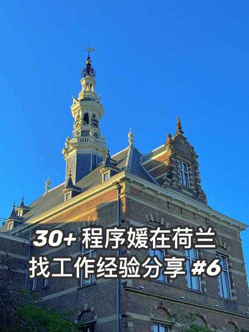 荷兰软件开发工作者待遇如何(荷兰 程序员)
