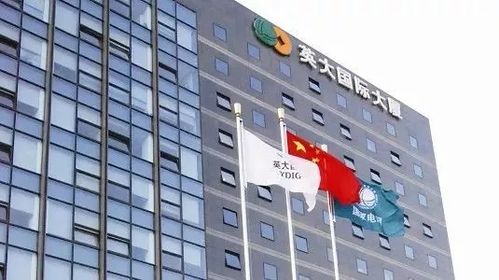 国网英大集团待遇(国家电网国网英大集团怎么样)