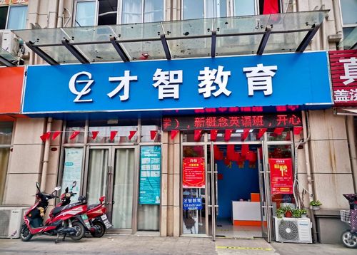 才智教育待遇(才智教育集团)