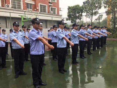 汉沽交通辅警待遇(汉沽交通辅警待遇咋样)