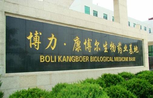 博力康博尔青岛有限公司待遇如何(威海博力康博尔药业是不)